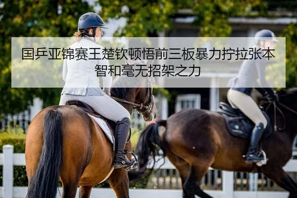 国乒亚锦赛王楚钦顿悟前三板暴力拧拉张本智和毫无招架之力